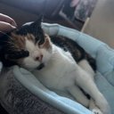 Demi Higgins - @Demilouisehigg1 - Twitter