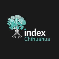 Index Chihuahua (@index_cuu) 's Twitter Profile