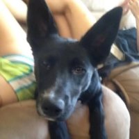 malfor7 (@malfor7) 's Twitter Profile