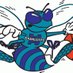 Hornets City (@chornets4) Twitter profile photo Hornets City (@chornets4) Twitter profile photo