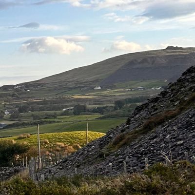 mace71948's profile picture. 