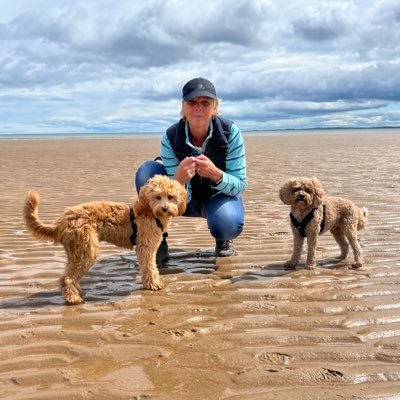 julianobledesn's profile picture. Illustration, Animation, Art and Design