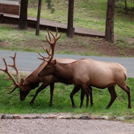 danielburg96591's profile picture. 