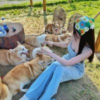 Jolie💋 (@mike8vg) 's Twitter Profile