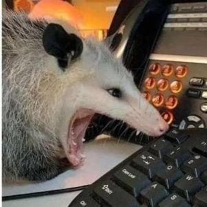 InOmaHell's profile picture. 