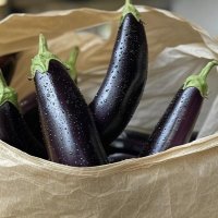 Covid Bag Of Dicks 🦠🛍️🍆 (@covidbagofdicks) 's Twitter Profile Photo Covid Bag Of Dicks 🦠🛍️🍆 (@covidbagofdicks) 's Twitter Profile Photo