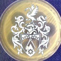 AMIC (@brunel_amic) 's Twitter Profile