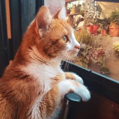 anitabepe's profile picture. 