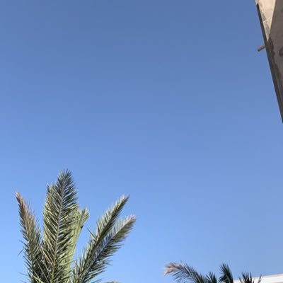 hesho_ka's profile picture.