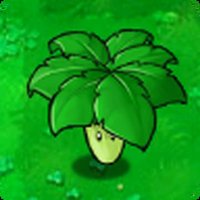 umbrella leaf (@skibidi_epstein) 's Twitter Profile