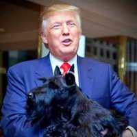 Scottish Haggis 🏴🇬🇧 (@weehaggisclub) 's Twitter Profile Photo Scottish Haggis 🏴🇬🇧 (@weehaggisclub) 's Twitter Profile Photo
