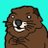 BOBER avatar