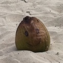 Floyd Levy - @floydlevy - Twitter