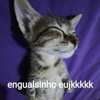 engual eu kkkkk / promo ou publicidade: dm