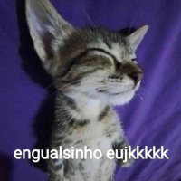 posts que eu me indentifico (@engualeukkk) 's Twitter Profile
