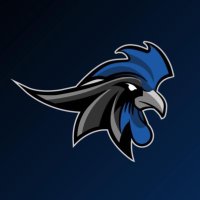 Gallos Negros LFA (@gallosnegroslfa) 's Twitter Profile