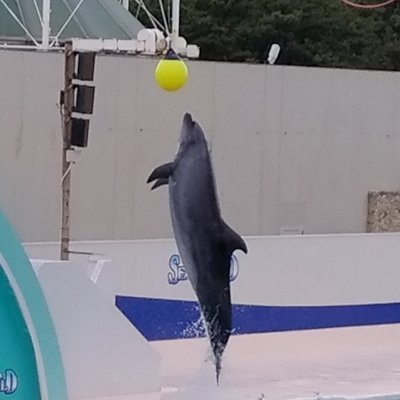 ey52250's profile picture. プログラミング挑戦中⭐️
Dpro202501

日々の学習や気づきをアウトプットしていきます📚