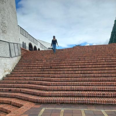Economista
Trabajadora y no parásito del estado
💫💫