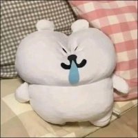 我是那个饼干 (@sleep_at_11_) 's Twitter Profile