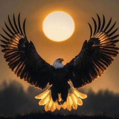 Smith97689768's profile picture. 