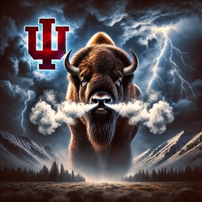 velodiesel's profile picture. #ParlaysAllDay