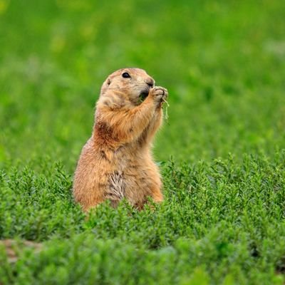 ClientDem58913's profile picture. 