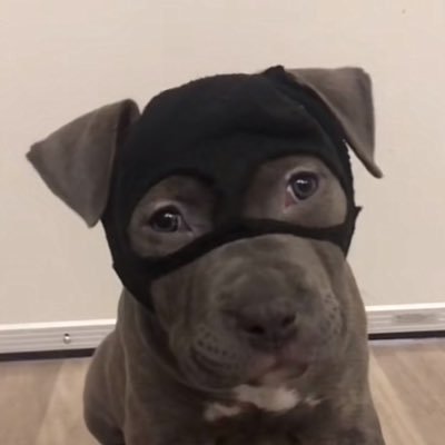 EzzMoneySnip3r's profile picture. all you have to do is believe

$SKI