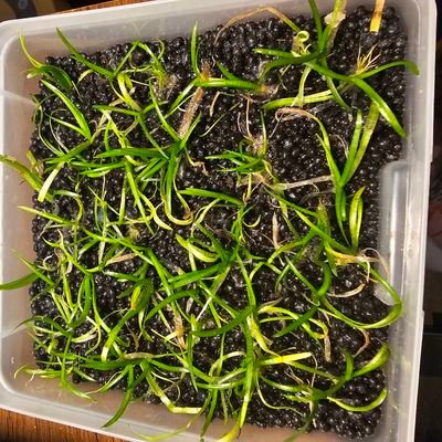 dndkvbekd's profile picture. #EndTheTaxCap #ProLifeIsProMurderOfWomen