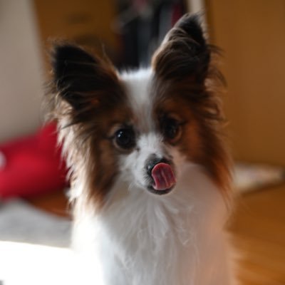 umi_mitaina's profile picture. 編み物と写真に夢中です🧶