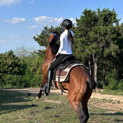 🐎馬背の自由な精神を追い求め、馬術の楽しさを共に分かち合おう🌟😊
毎回の転倒は、次の飛躍への力を蓄えるためのものです💪✨。
日本が大好きで、日本語を勉強中なんだ〜!えへへ😜📚🇯🇵