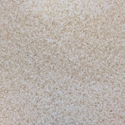 2反の畑でのんきに野菜作りをしています。田舎にある昔の農家です。なるべく有機、無農薬で栽培。副業でブログライターをやっています。最近は仕事を休んで、気ままに過ごしております。