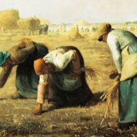 落穂 4y ASD +1y 発達アカ (@8eiv6) 's Twitter Profile