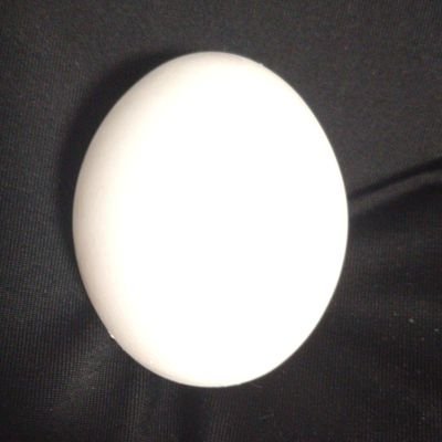 kamatamagoo's profile picture. たまごです。アーマーも割れやすいです。