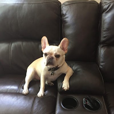 TysonParker115's profile picture. 