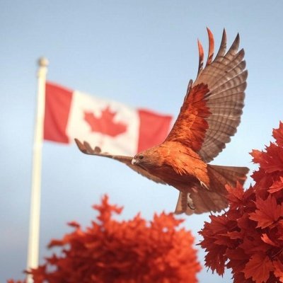 π¨π¦ Policy Hawk Profile