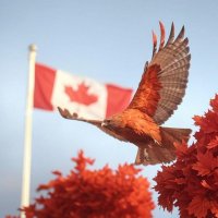 🇨🇦 Policy Hawk (@cdnpolicyhawk) 's Twitter Profile Photo 🇨🇦 Policy Hawk (@cdnpolicyhawk) 's Twitter Profile Photo