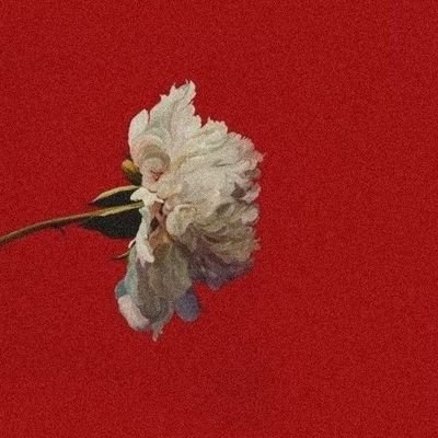 jasjas0520's profile picture. 性別分離