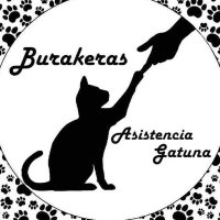 Burakeras Asistencia Gatuna (@burakeras) 's Twitter Profile
