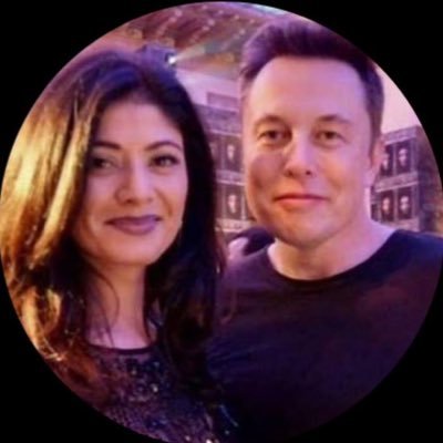 Protecting Elon Musk's online presence from impersonators is my top priority, leveraging my cybercrime expertise to safeguard his digital identity.