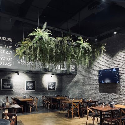 DiegoFerre23341's profile picture. 