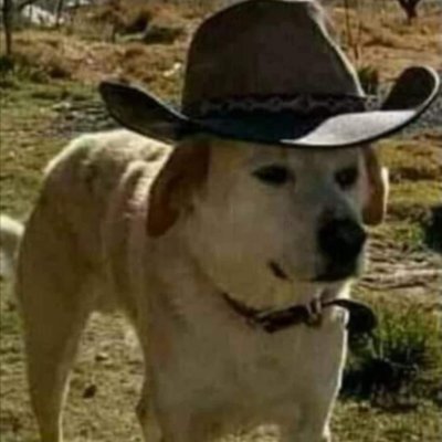 mikegalicia__'s profile picture. 20 yo
ECYS