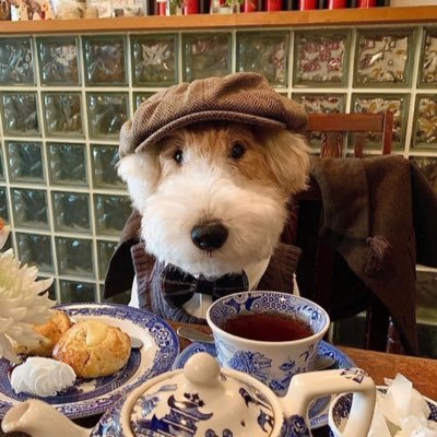 visxanders's profile picture. 