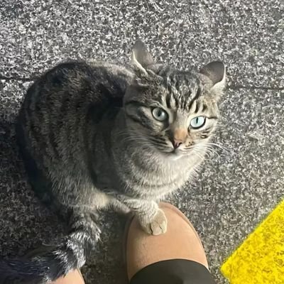 Thesil6's profile picture. HAPPY LIFE