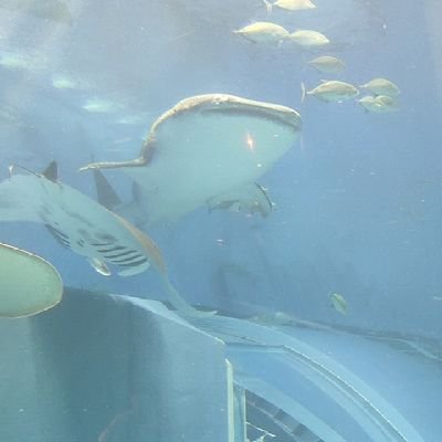 ほぼ見る専　　20歳↑　
更新速度:　亀
末永くよろしく