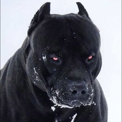 fupayme33's profile picture. ♋️