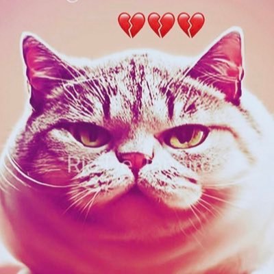 twimkさんのプロフィール画像