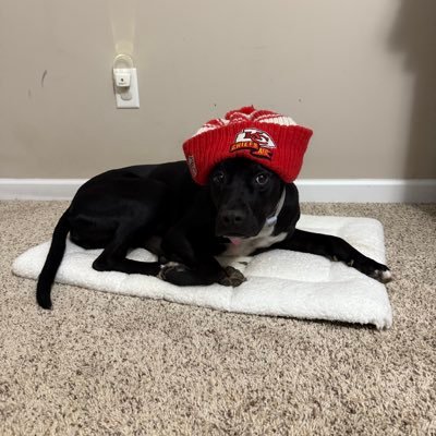 STLstoner's profile picture. But the greatest of these is Love.