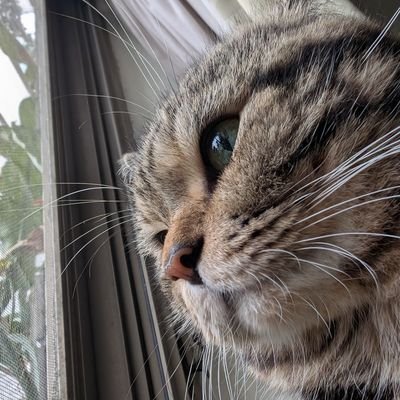 dean770219's profile picture. 