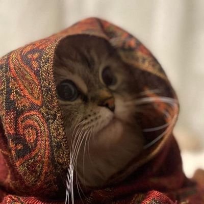 وَالمَرء لا يشقِيه إلّا تخصّصهُ
حاشَاها الحَياة أن تَشقِيه ❤️