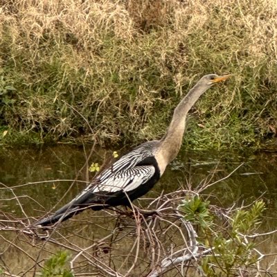 Ann1399811's profile picture. 